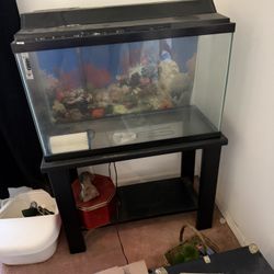 Aquarium with Stand