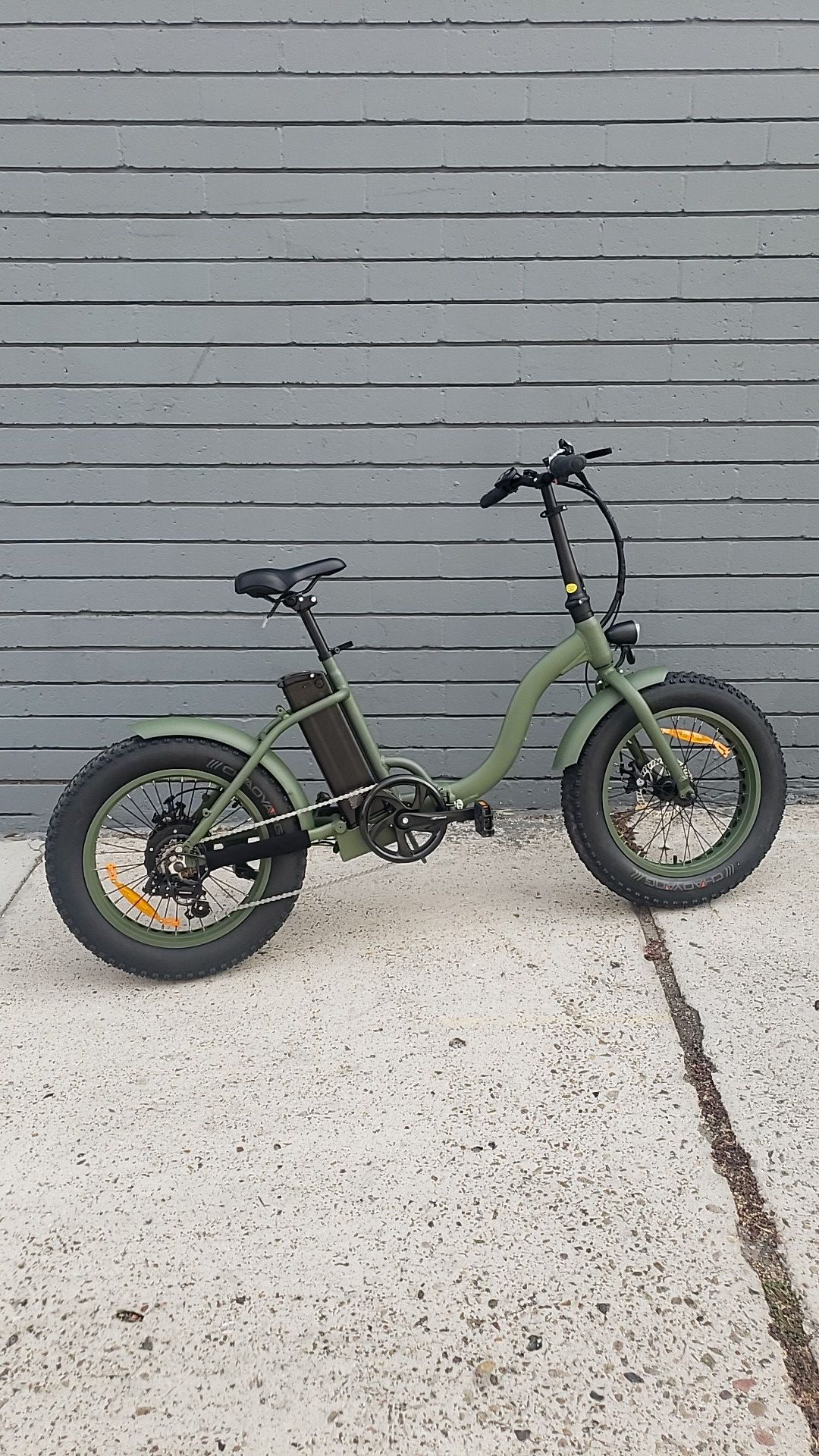 NEW Electric Bicycle "TJC" Moss Chaos