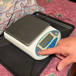 Electronic Scale