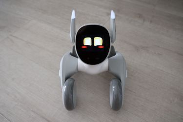 Inteligencia artificial Dog Loona