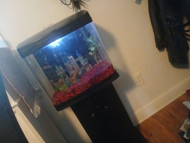 FISH TANK