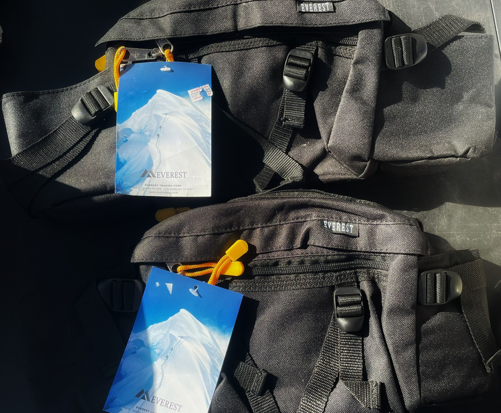 Brand New Everest Waist Bag. 🐾