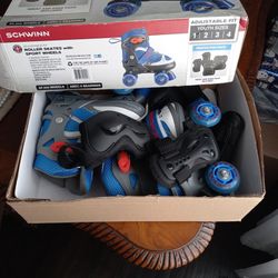 Schwinn Skates