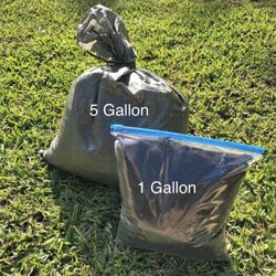 Worm castings 