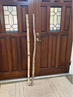 Decor - Aspen Branches