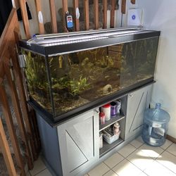 75 Gallon Fishtank With Stand