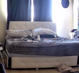 Queen Bedframe