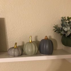 3 tiny pumpkins