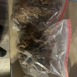 Tanzania Sea Moss