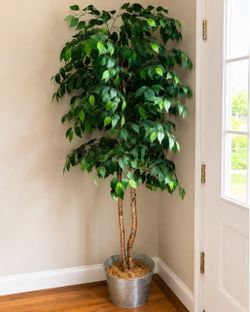 Large Artificial Ficus Tree in Metal Pot