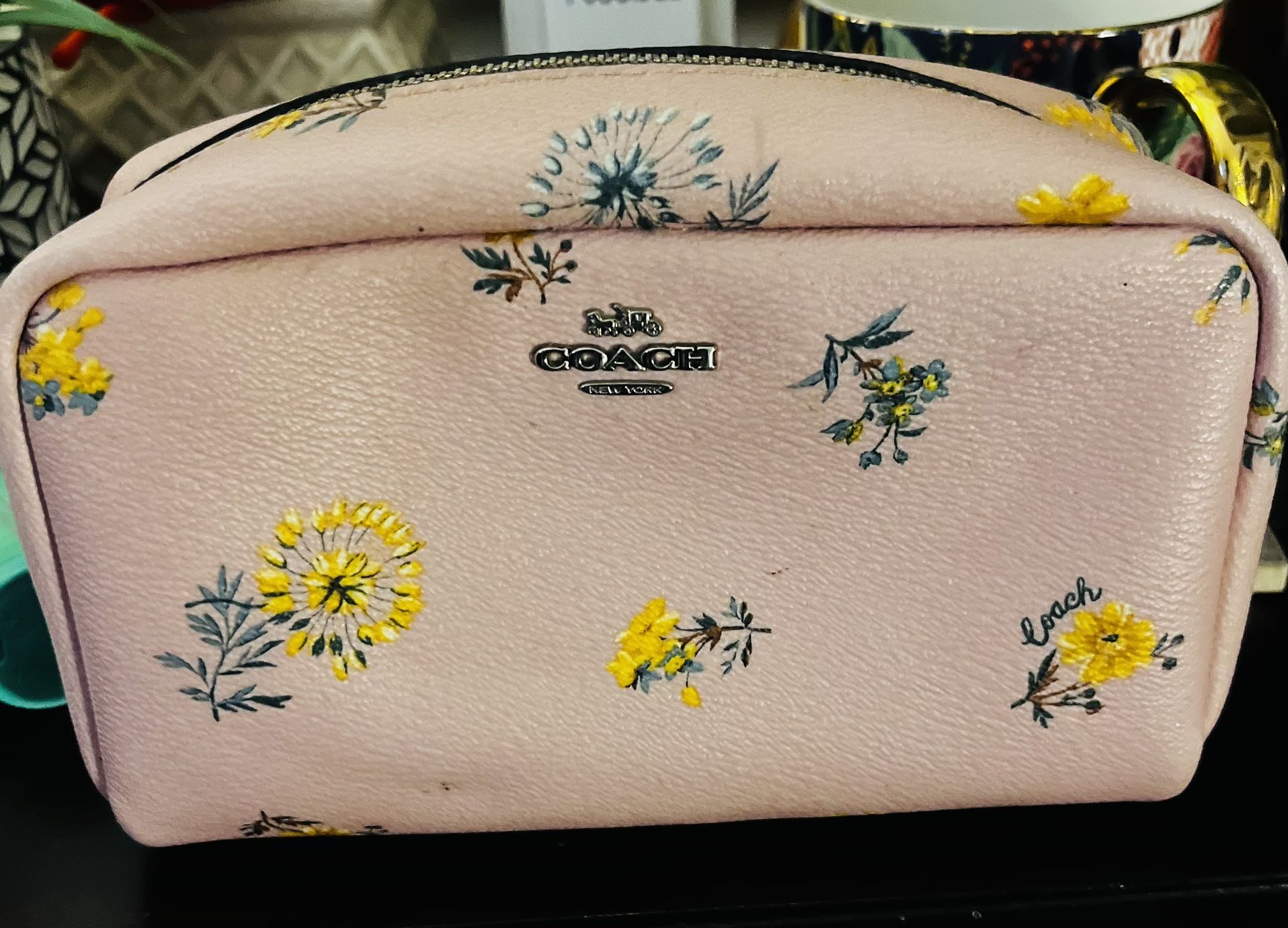 Coach Makeup Bag