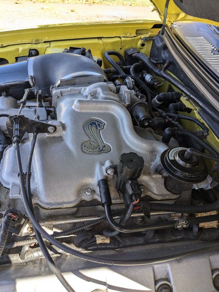 2001 Ford Mustang