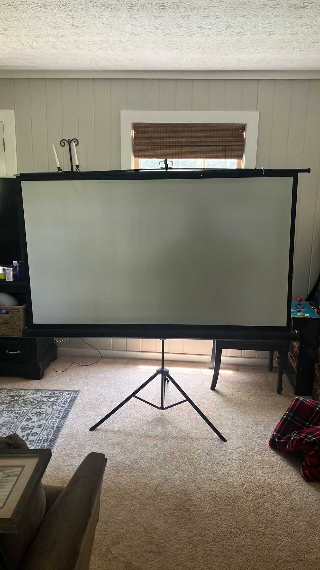  Projector Screen
