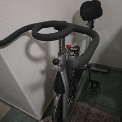 Spinner Pace Bike