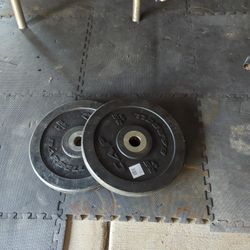 25 Lb Rubber Olympic Plates 