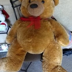 Teddy 🧸 Bare Large