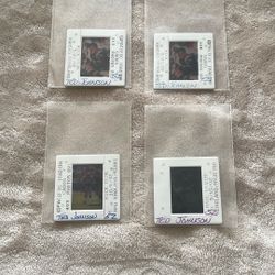 Ted Johnson New England Patriots