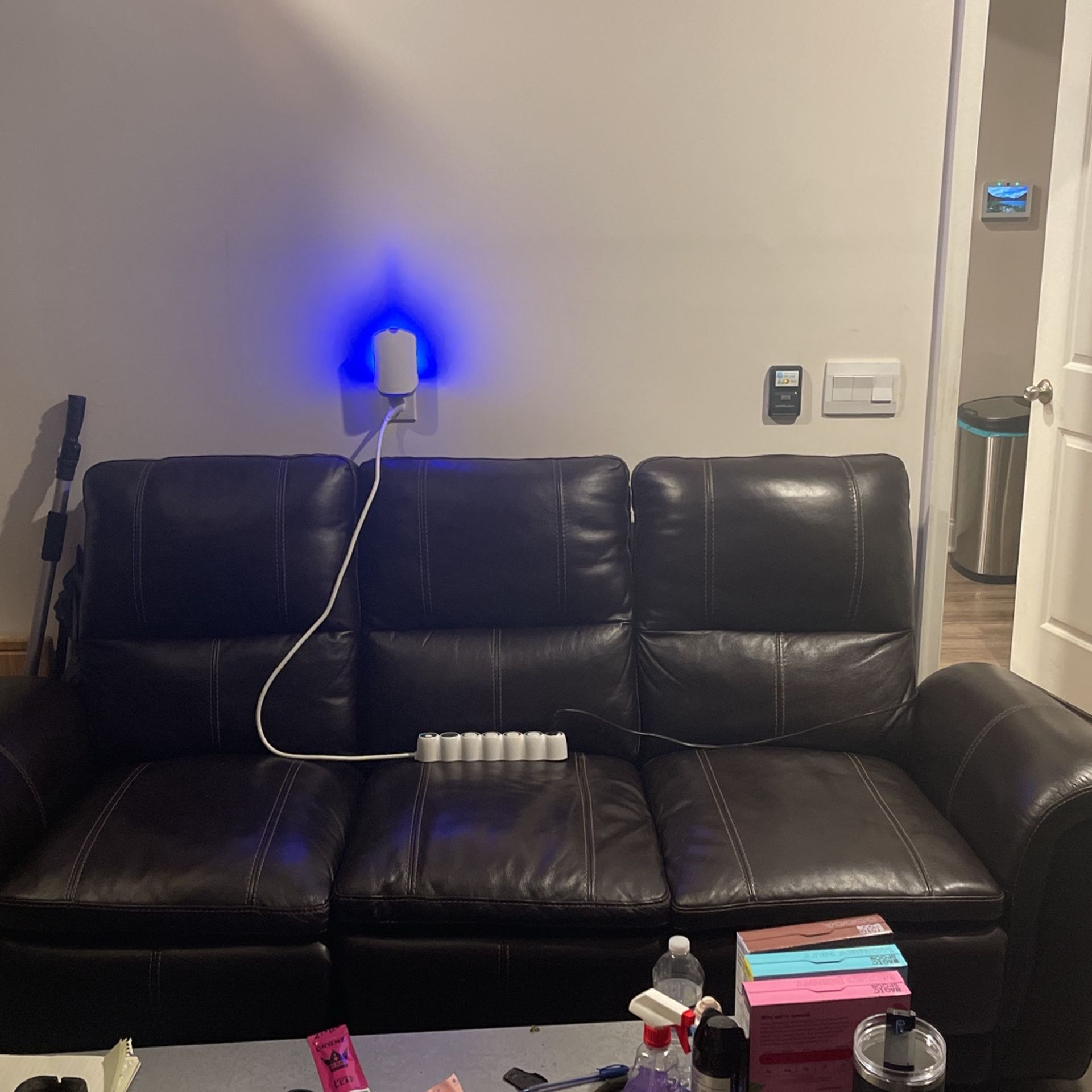 Leather couch