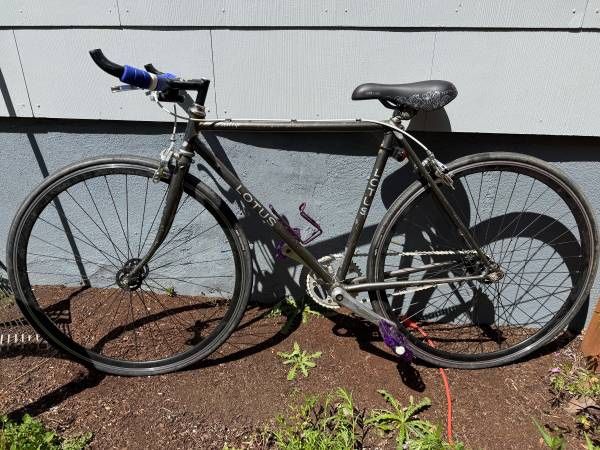 Vintage Lotus Prestige OBO - 48 cm (s/xs) -