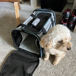 Travel Small Dog Bed