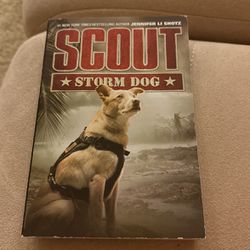 Scout  Storm Dog 