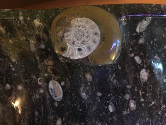 Sink or fountain natural stone with fossils
