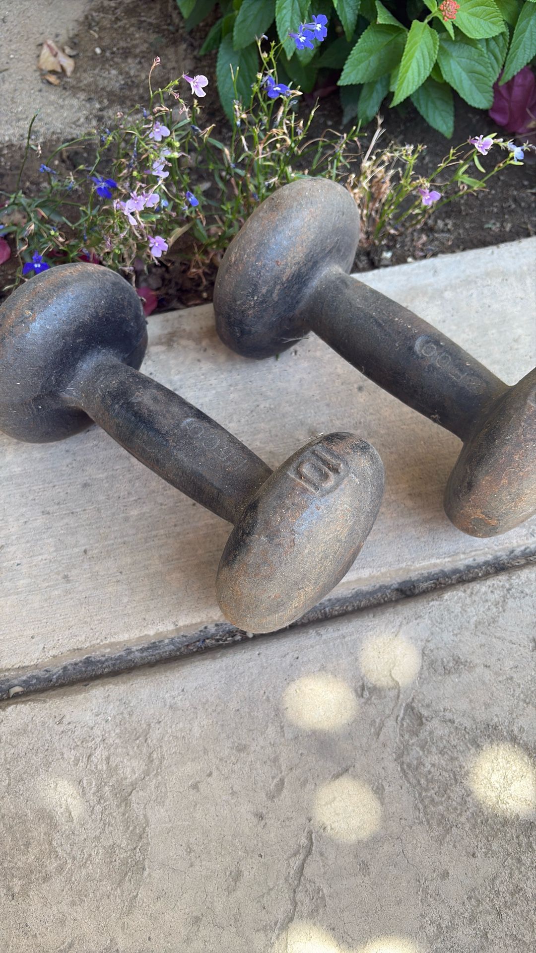 Weights