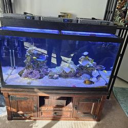 120 Gallon Reef Aquarium