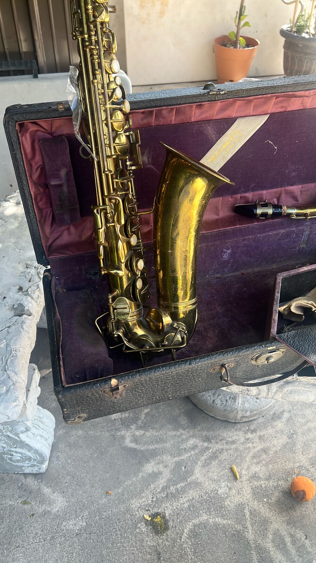 Saxophone 