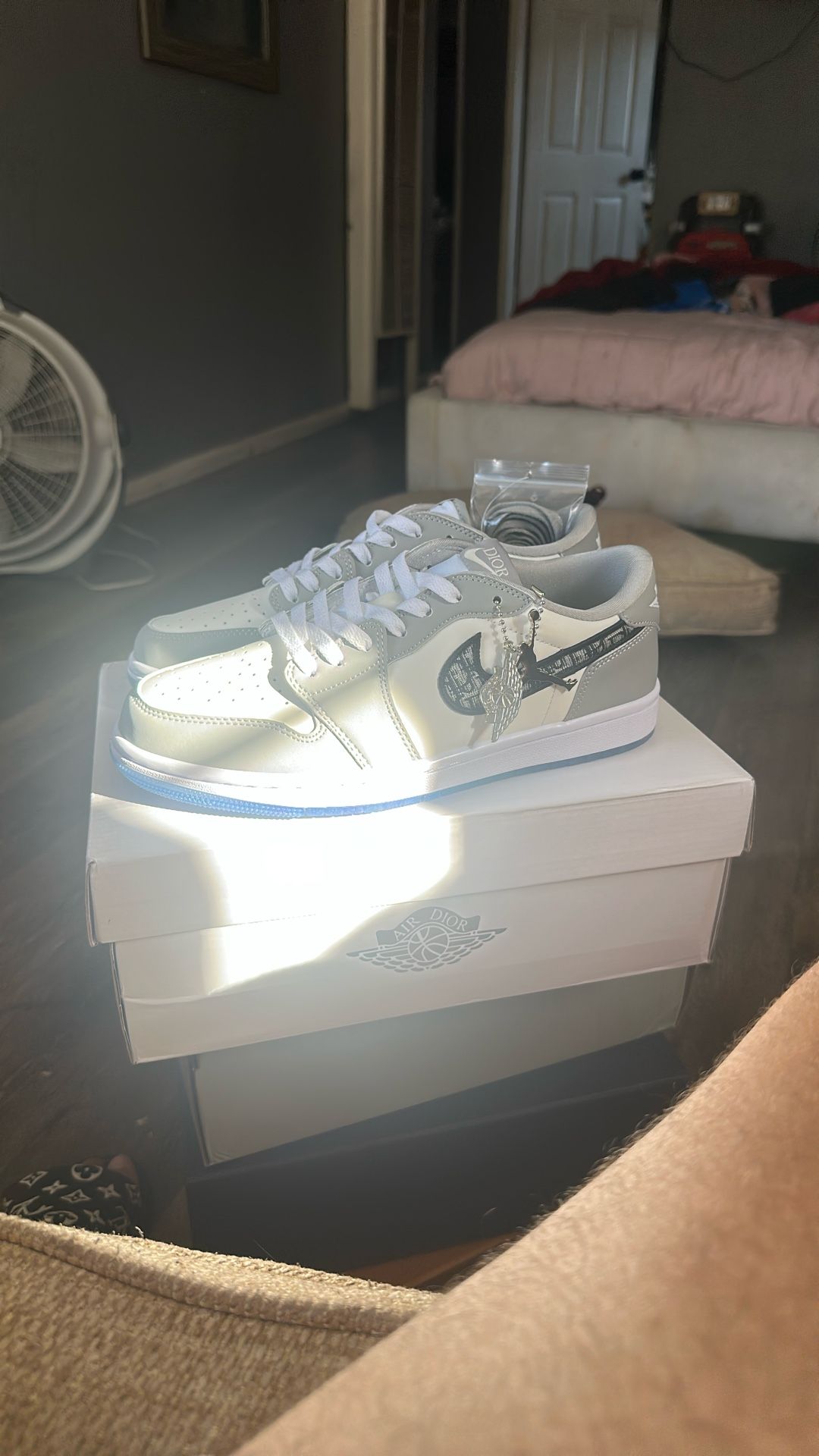 Christian Air Dior Jordan