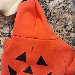 Small Pet Costumes 