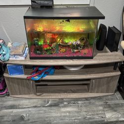 Fish Tank And Table