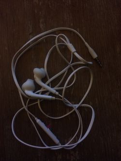 Samsung Earphones