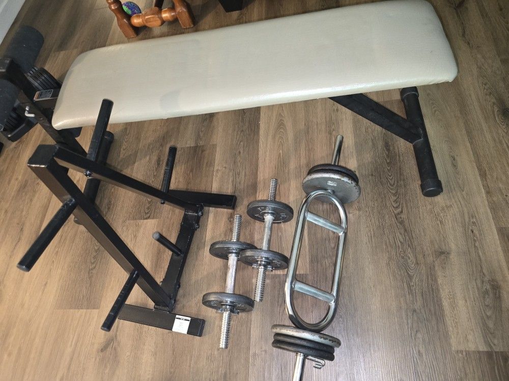 Weight Bench And Weights
