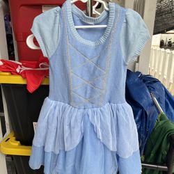 Cinderella Dress 