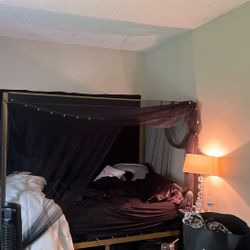 Gold Canopy Bed 