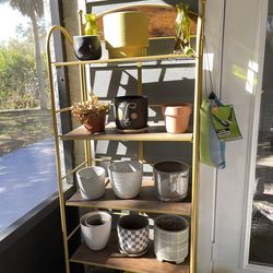 book/plant shelves