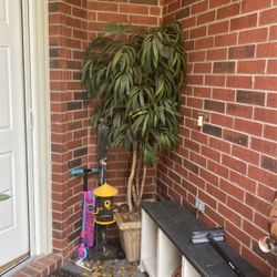 Artificial Tree Richmond Tx 77407