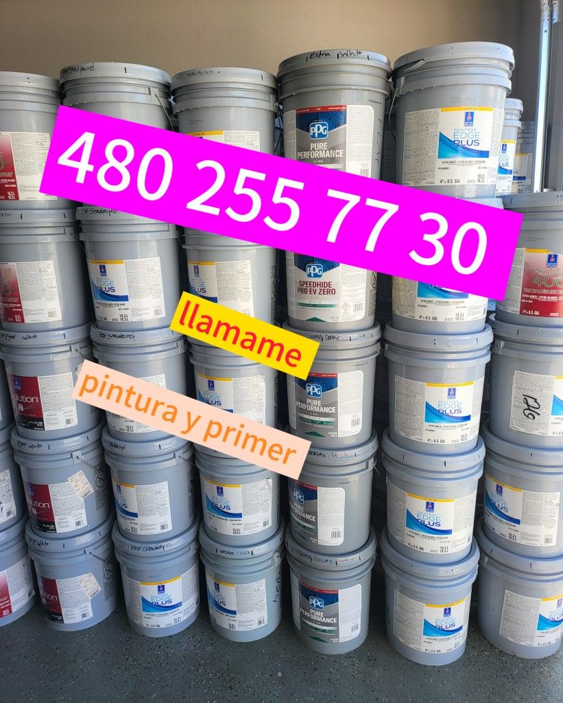 Paint For Sale 
