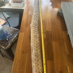 Vintage large cactus rain stick