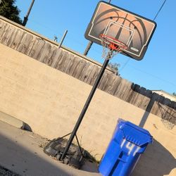 Lifetime Basketball Hoop