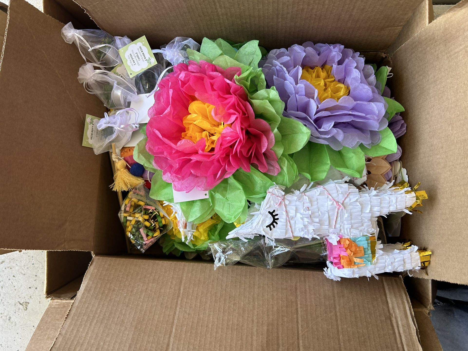 Fiesta Party Decor & More