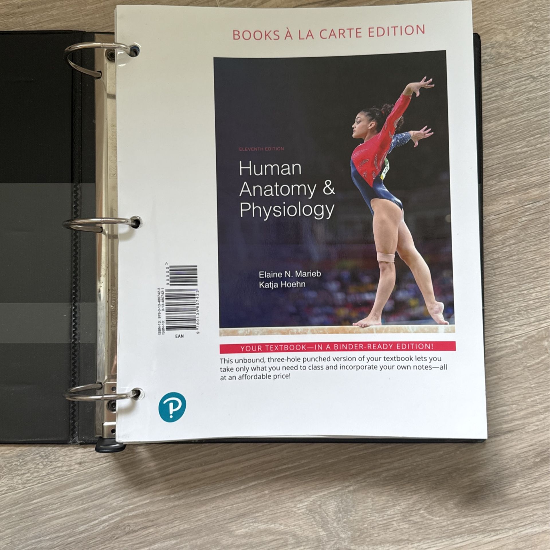 Human Anatomy & Physiology 11th Edition Elaine N. Marieb & Katja Hoehn