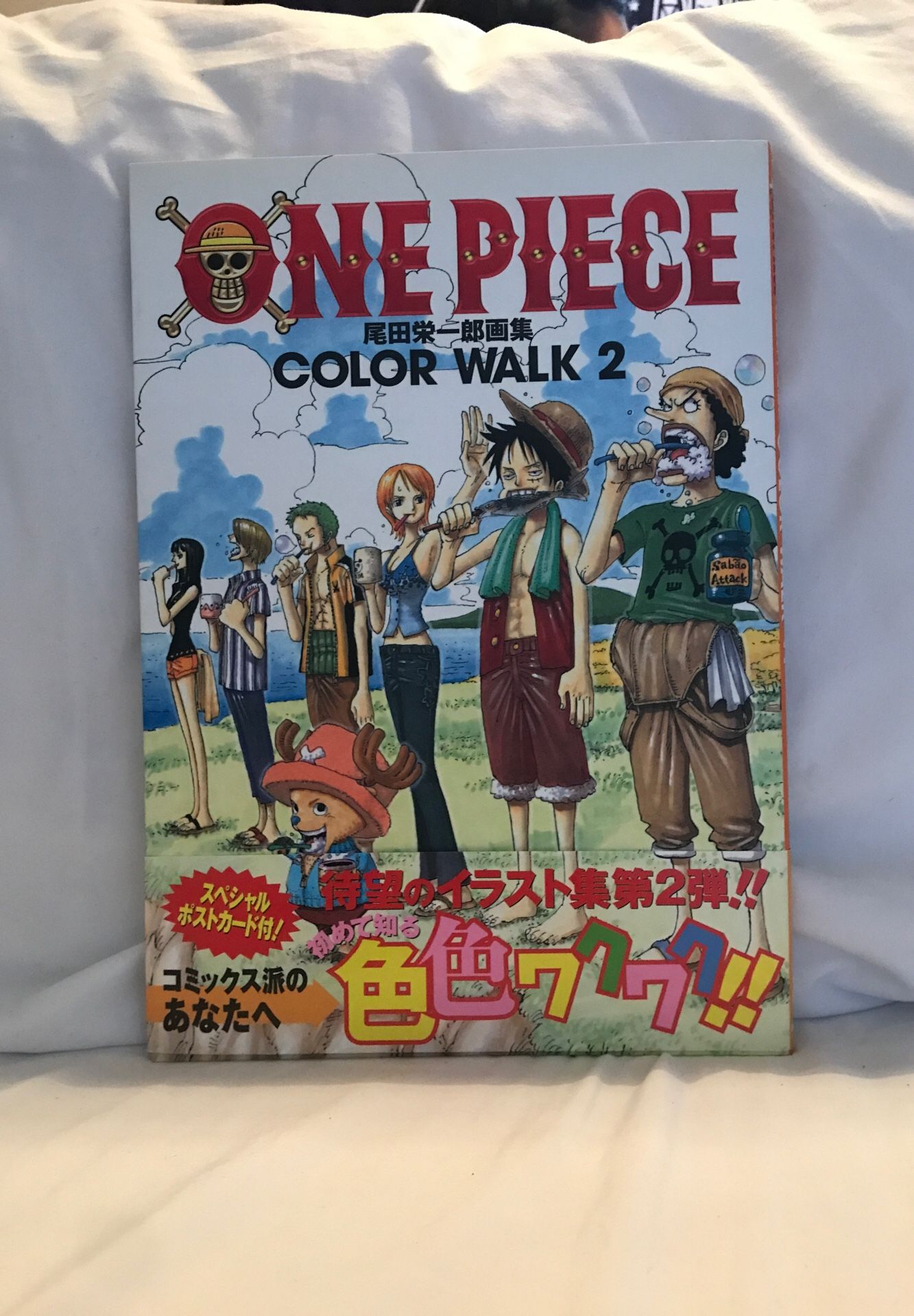 One Piece Color Walk 2 Japanese (Rare)