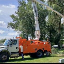 2009 M2 Freightliner 