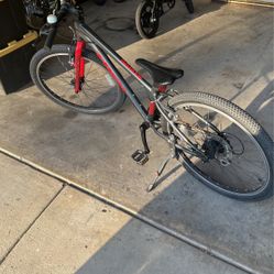 Boys TREK Bike 24” 8 Speed