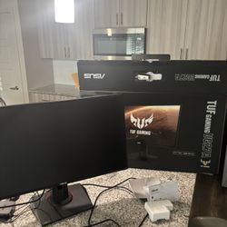 Gaming Monitor  