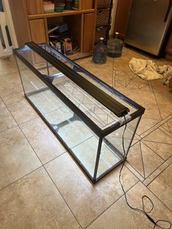 55 Gallon Aquarium With Light