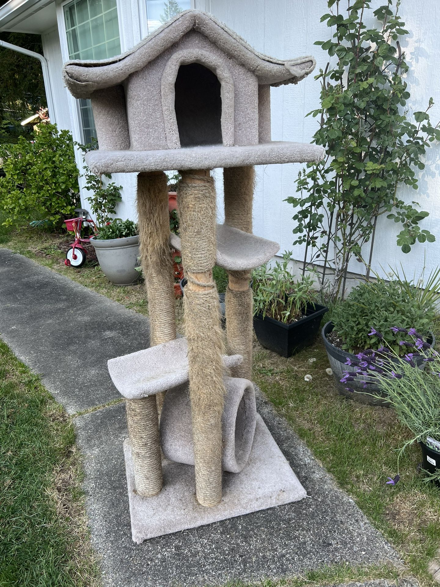 Cat Tree Free