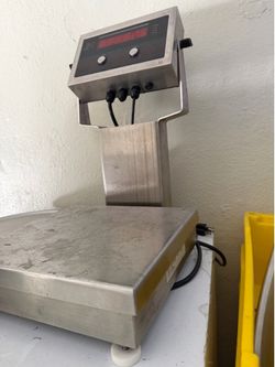 Scale Stainless Steel Rice Lake